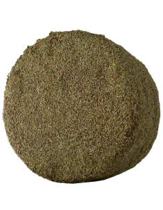 Queso de oveja añejo al romero La Antigua