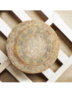 Queso de oveja DOP Manchego. Quesoteca Cuevas, centro de afinado.