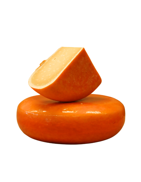 Gouda Fermier DOP. Quesoteca Cuevas, centro de afinado. Queso de vaca. Queso holandés
