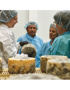 VISITA NUESTRA QUESERÍA CON DEGUSTACIÓN DE 2 REFERENCIAS DE QUESO Visita Tienda quesos online